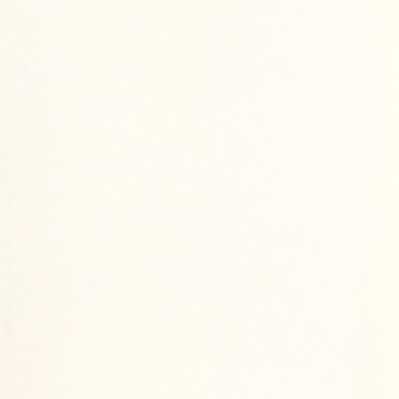 White - 01